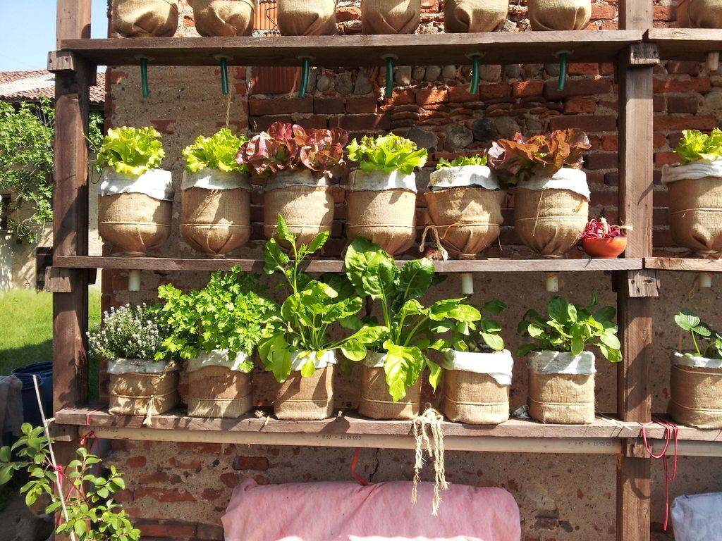 Container Gardening Ideas