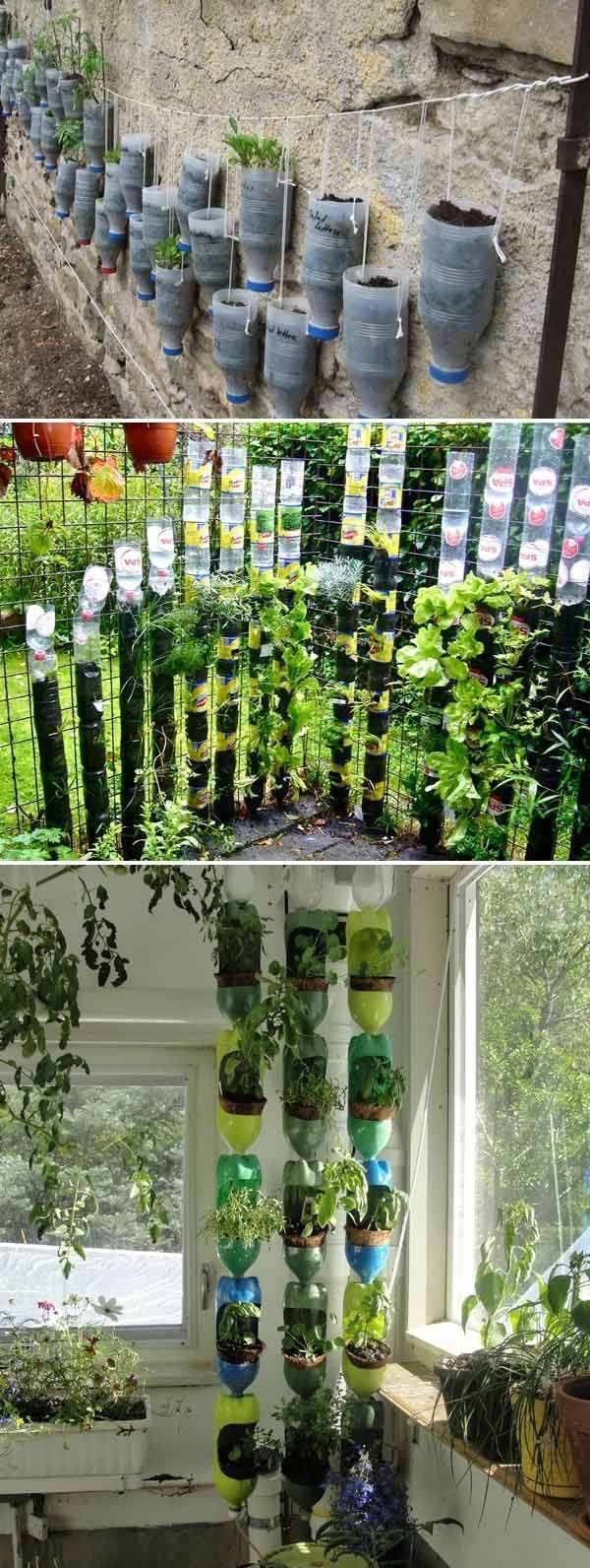 Indoor Food Garden Ideas