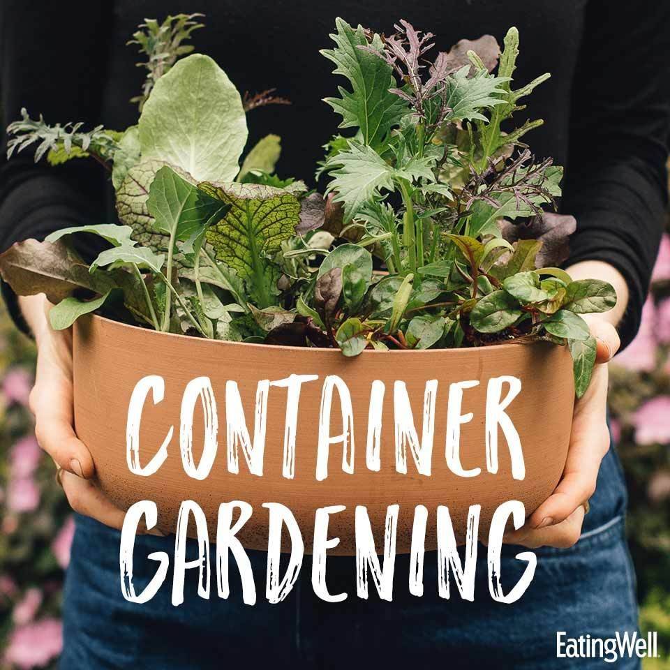 My Proven Winners Container Recipes