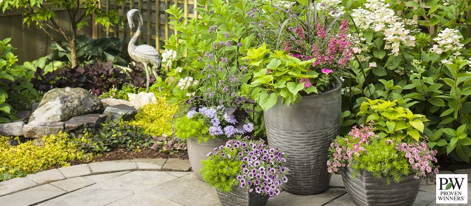Spillers Container Gardening