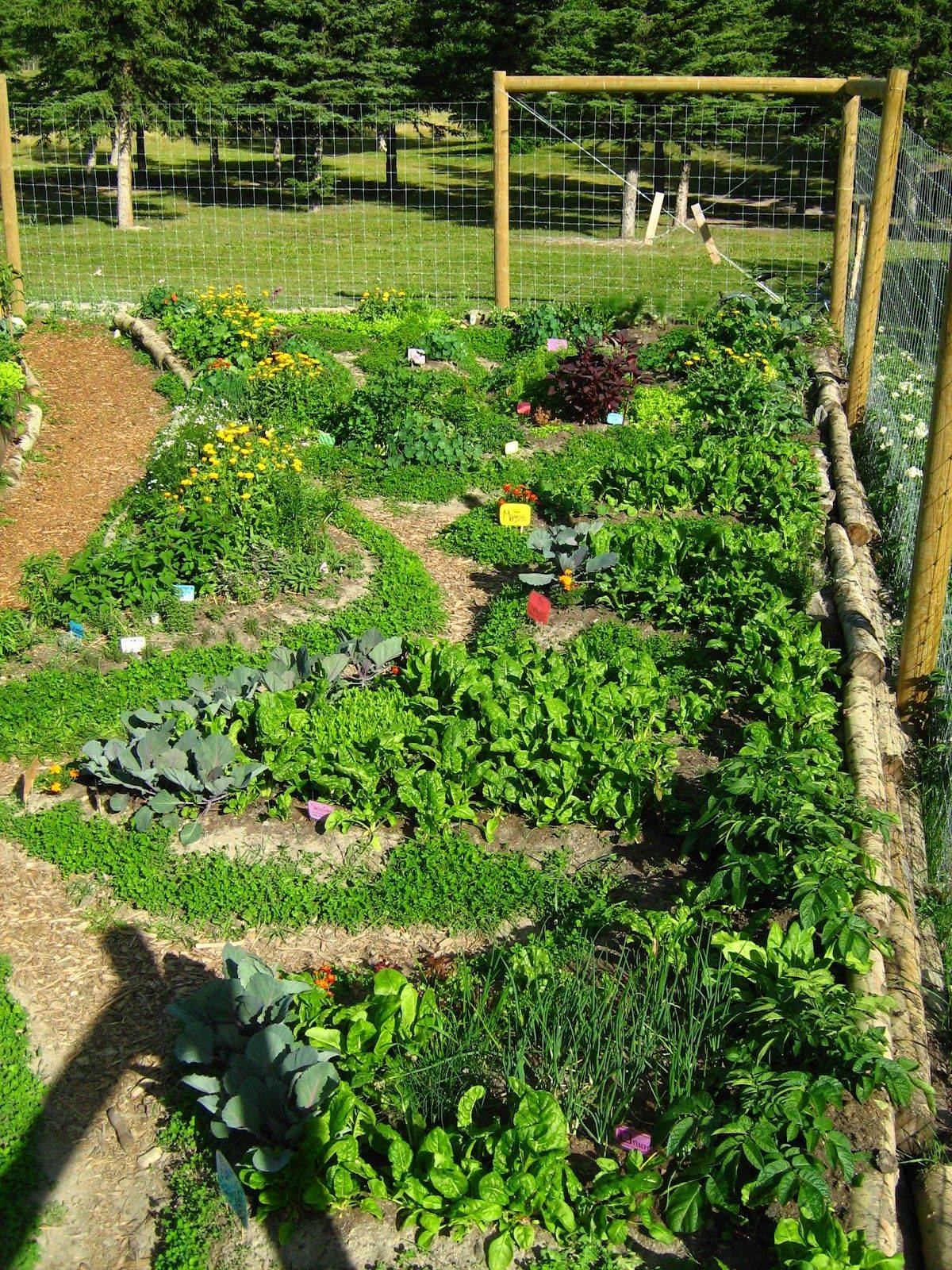 Beautiful Urban Permaculture Garden Example