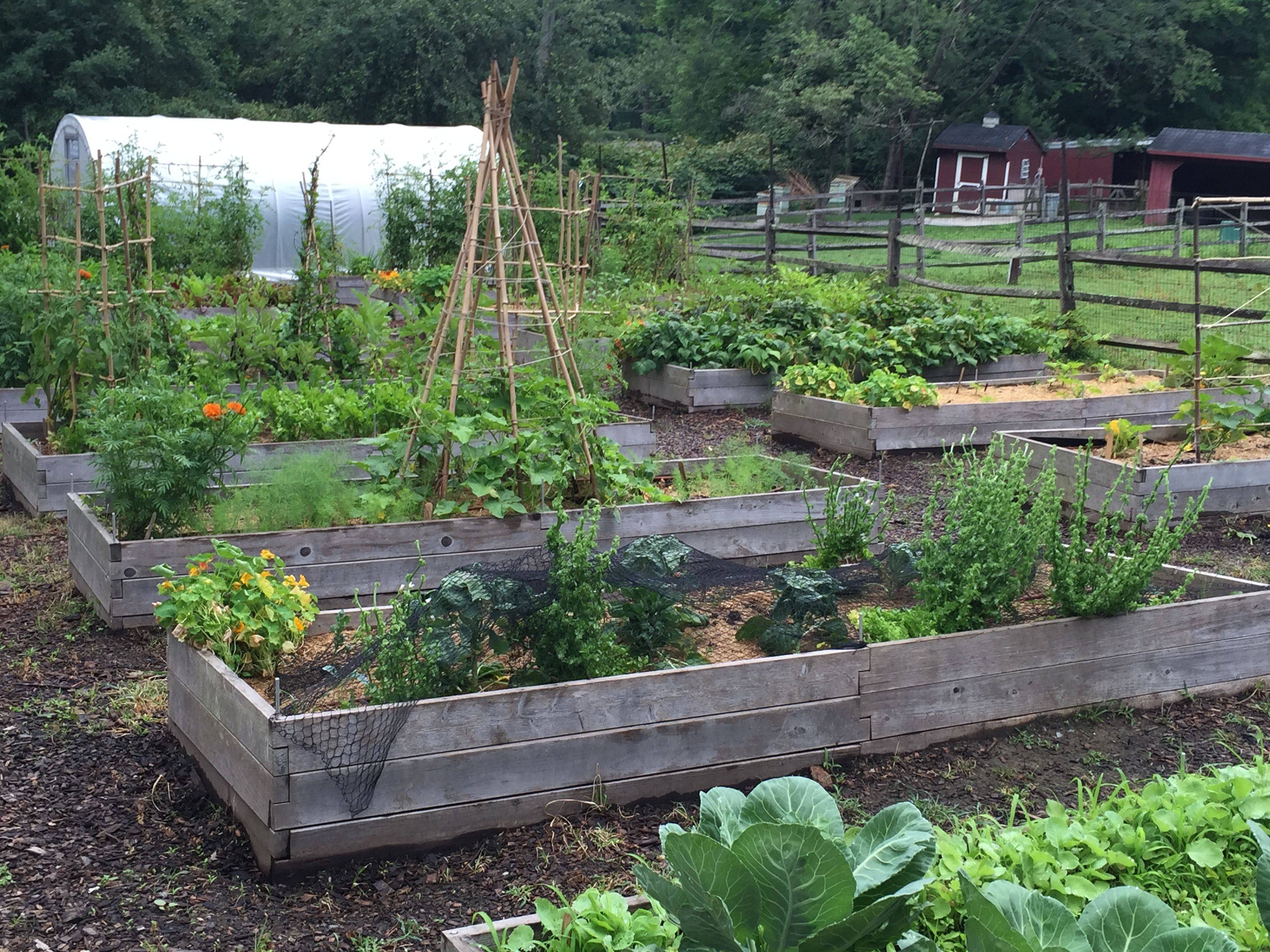 Permaculture Gardening