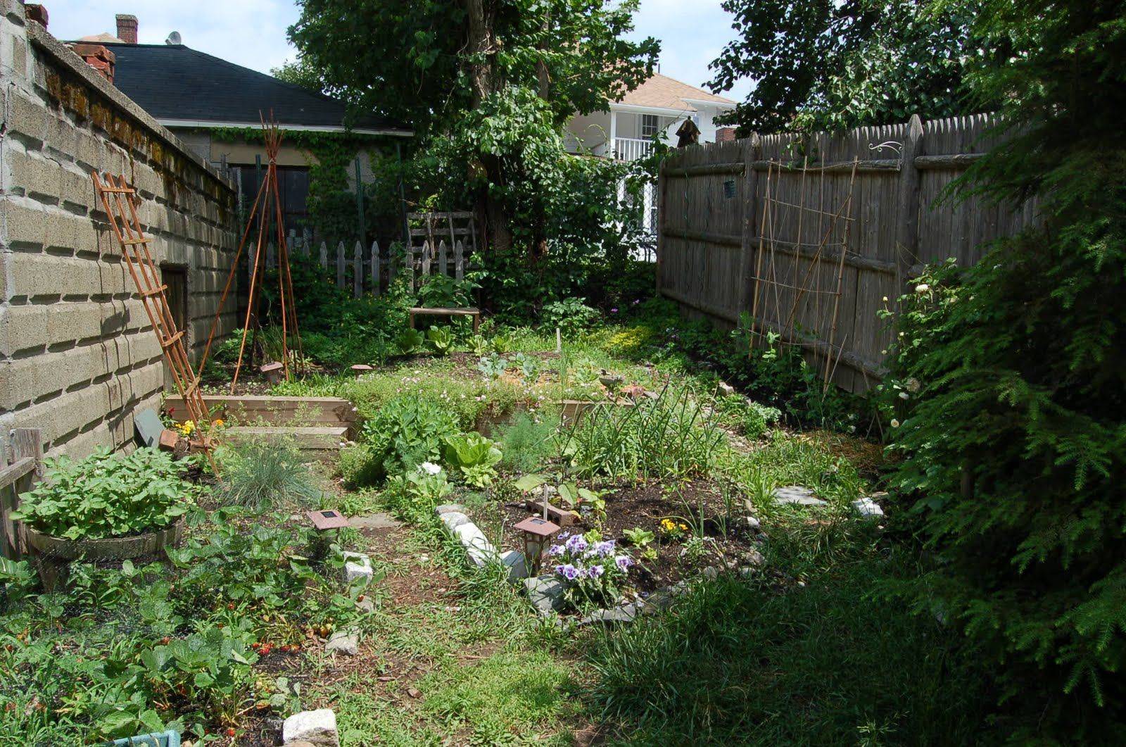 Permaculture Garden Panoramas Permaculture