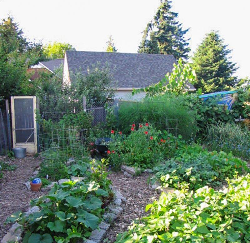 Food Forest Garden