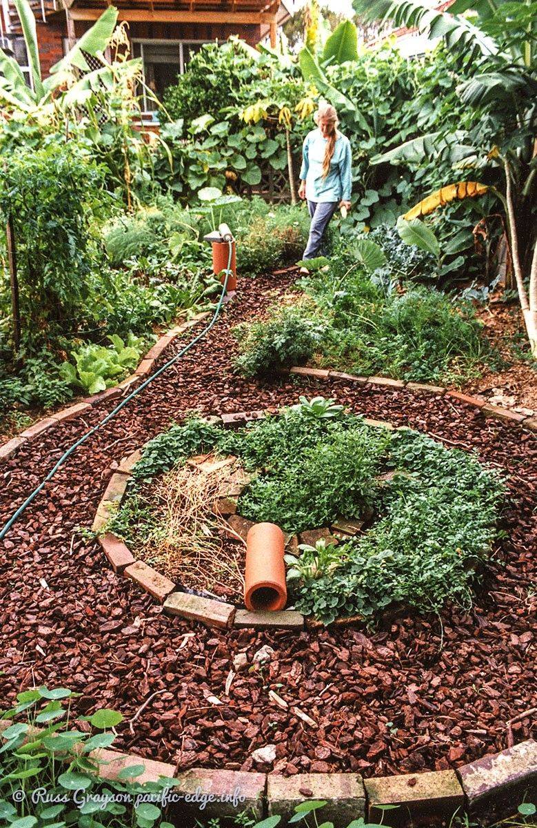 My Small Tropical Permaculture Garden