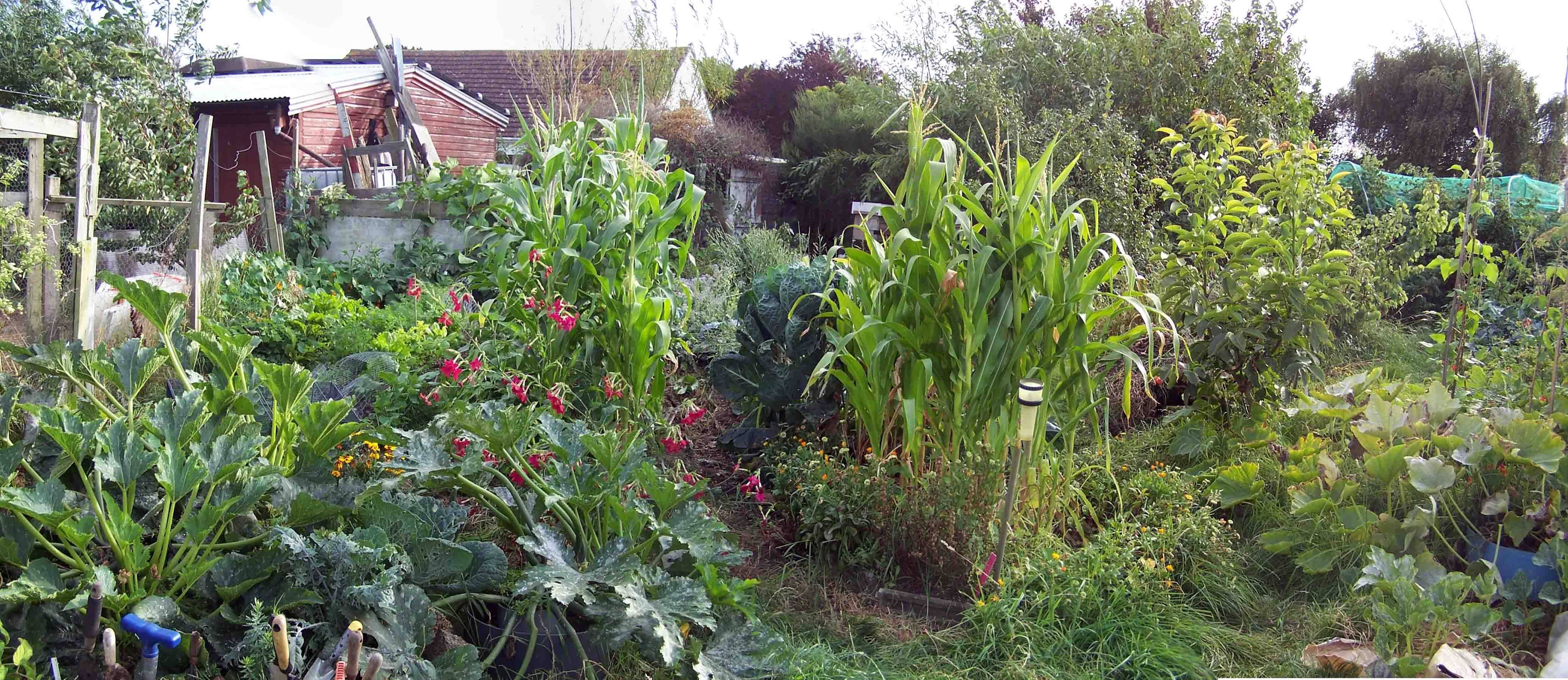 Permaculture Vegetable Garden