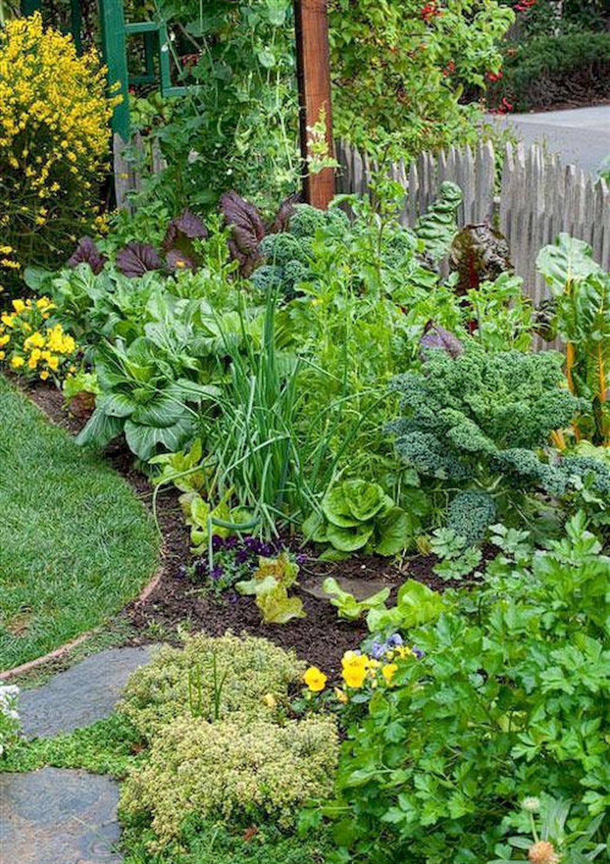 Permaculture Vegetable Garden