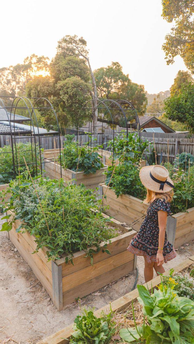 Permaculture Garden Vegetable Garden Design