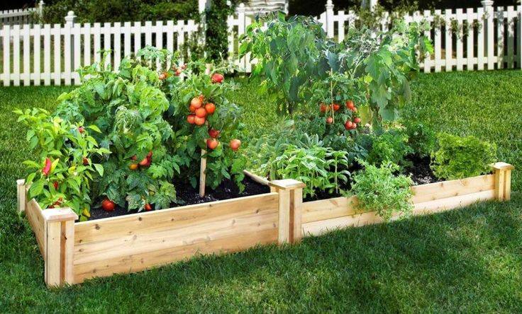 Best Diy Raised Bed Garden Ideas