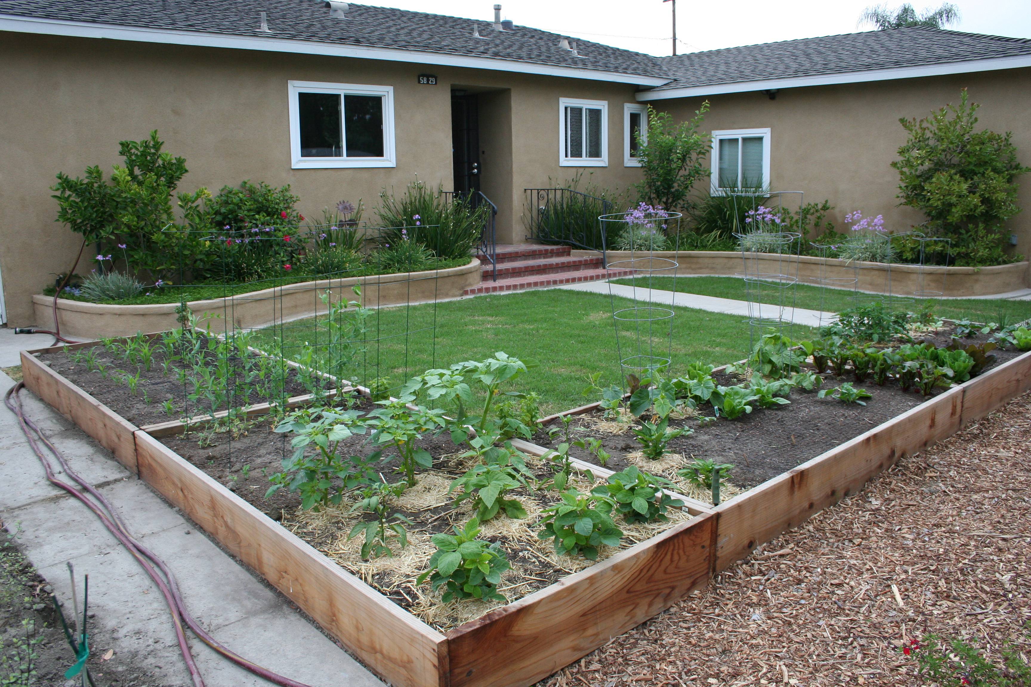 Growing A Vegetable Garden