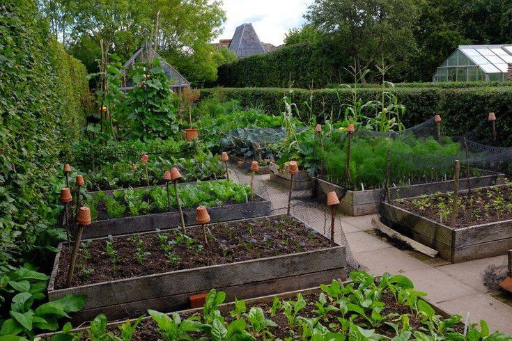 Garden Layout