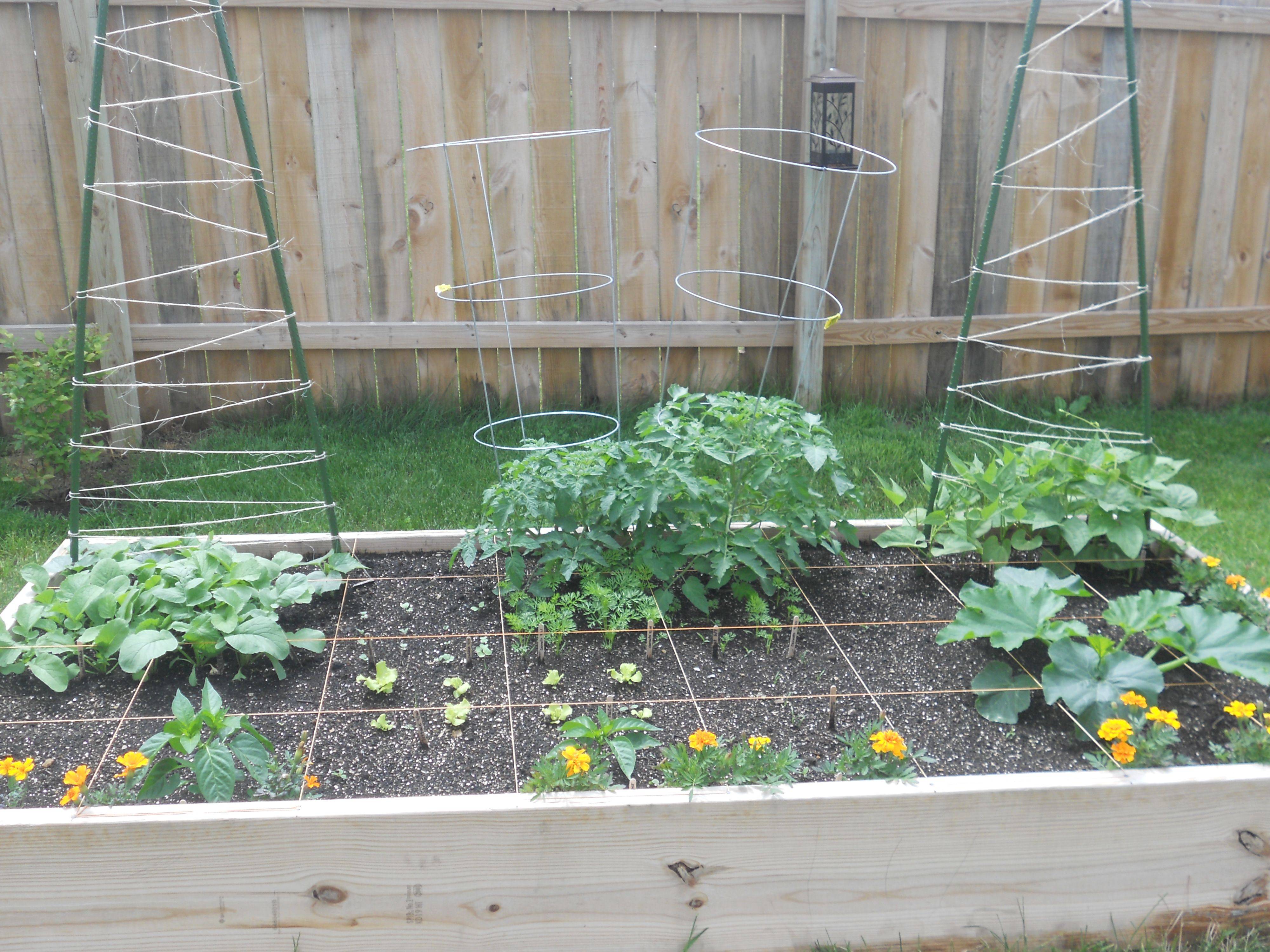 Best Productive Small Vegetable Garden Ideas