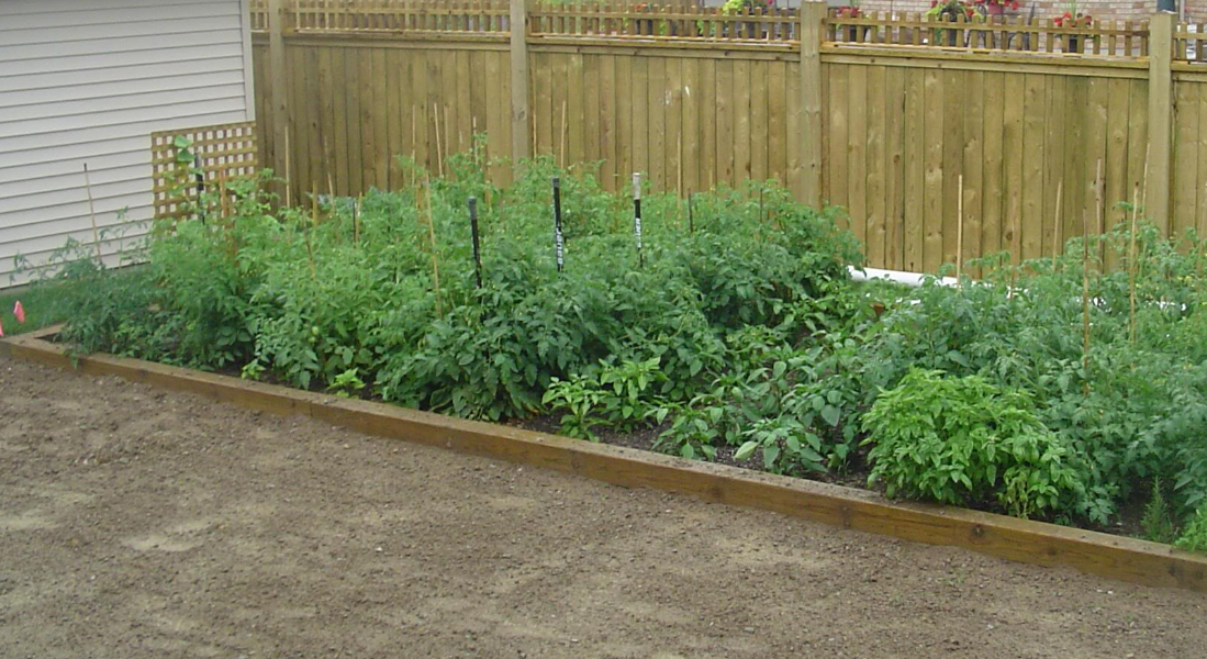 A Raised Garden