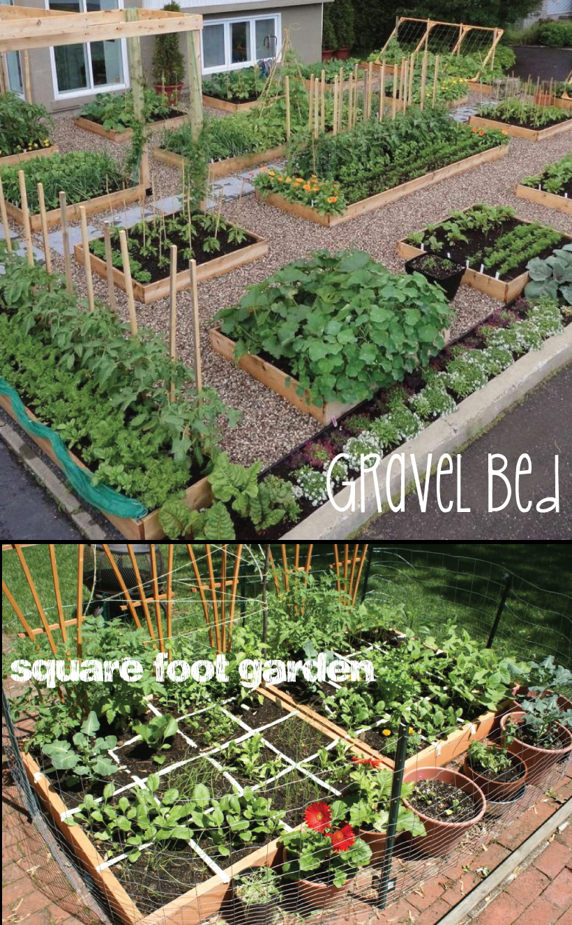 The Square Foot Gardening Foundation Fall Garden
