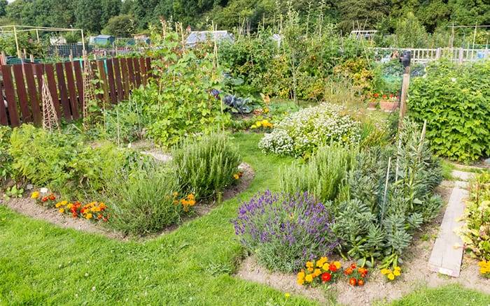 Advantageous Small Vegetable Garden Ideas