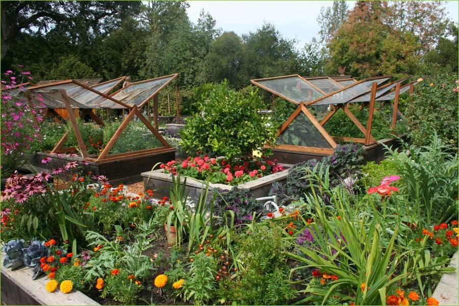 Inspiring Vegetable Garden Design