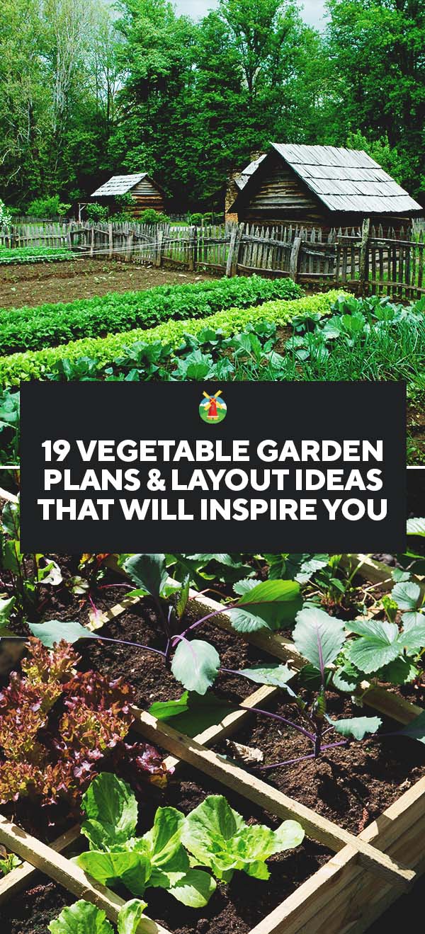 A Vegetable Garden Layout