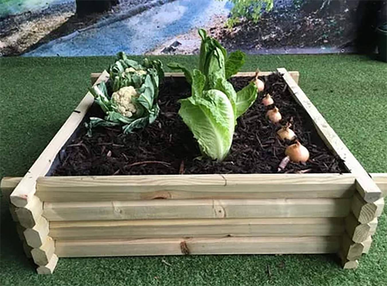 Cheap Container Vegetable Gardening Ideas