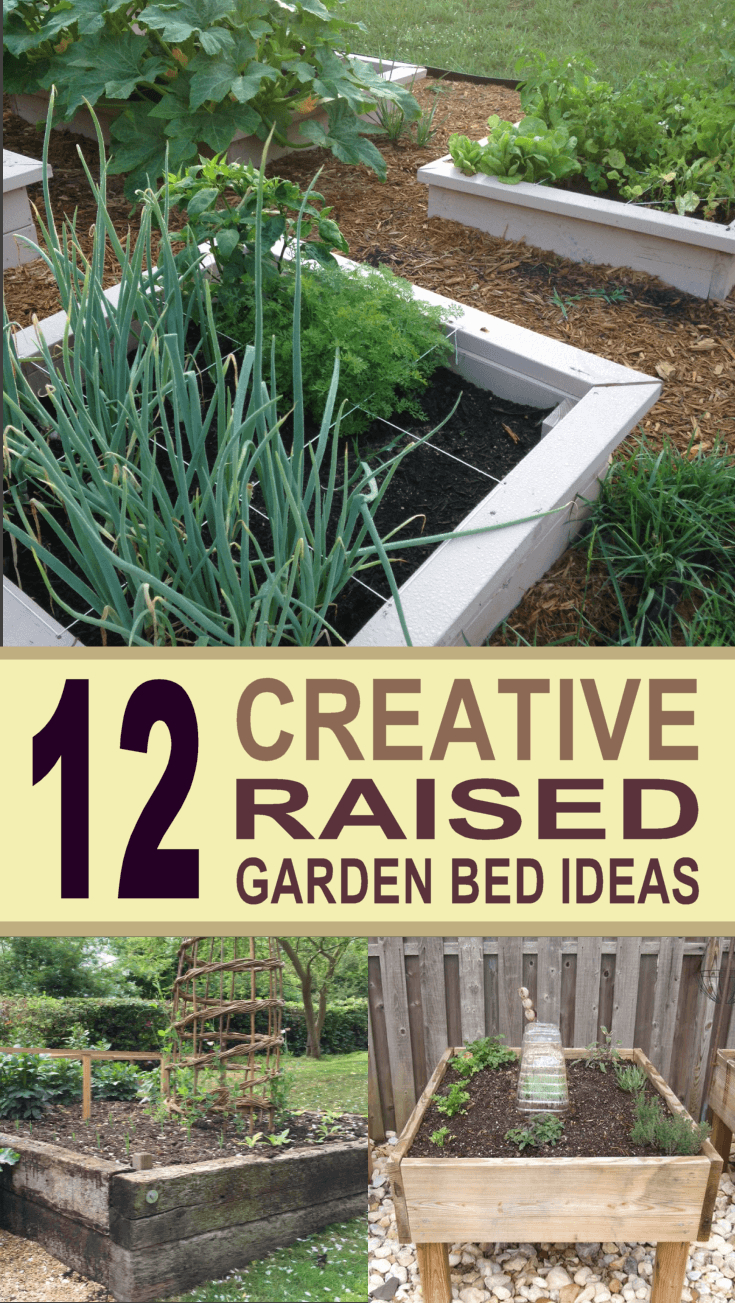 Vegetable Garden Ideas