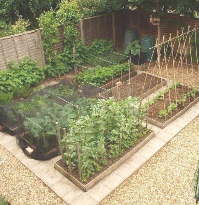 A Backyard Vegetable Garden Plan