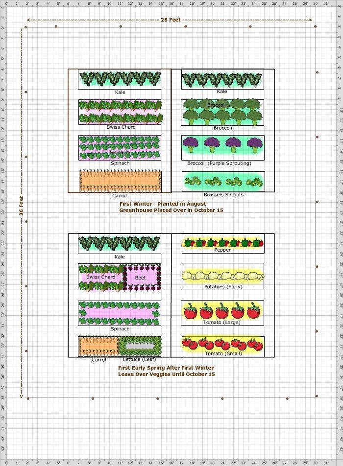 Square Foot Gardening Success