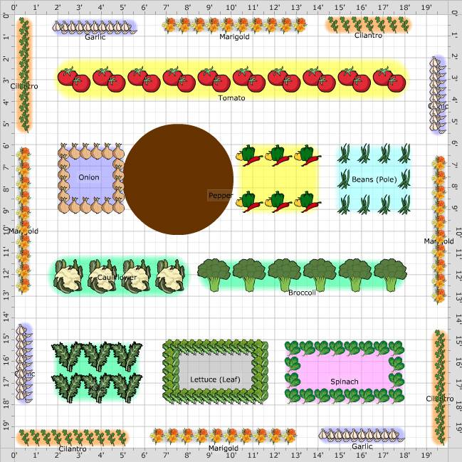 Garden Plan