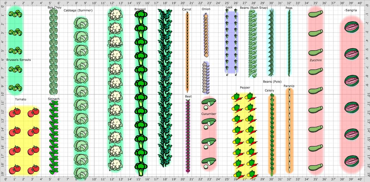 Garden Plan X
