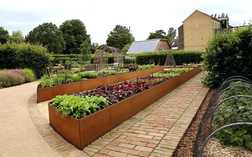 Op Vegetable