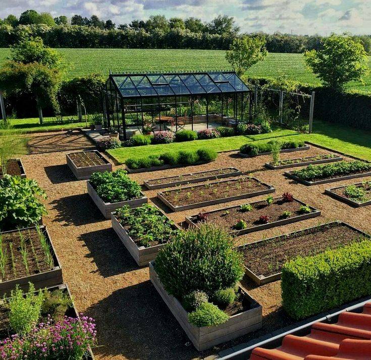 The Best Vegetable Garden Layout