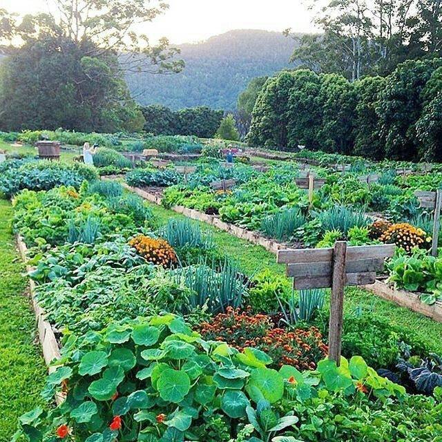 Impressive Vegetable Garden Designs