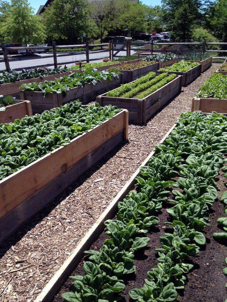 Full Bloom Vegetable Garden Planner