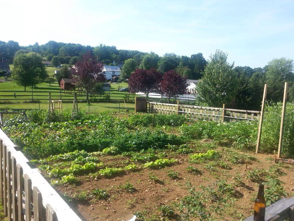 Backyard Garden Design