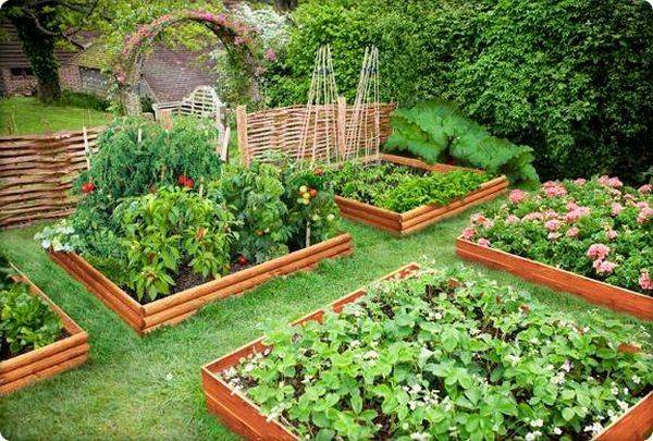 Square Foot Gardening Layout Ideas