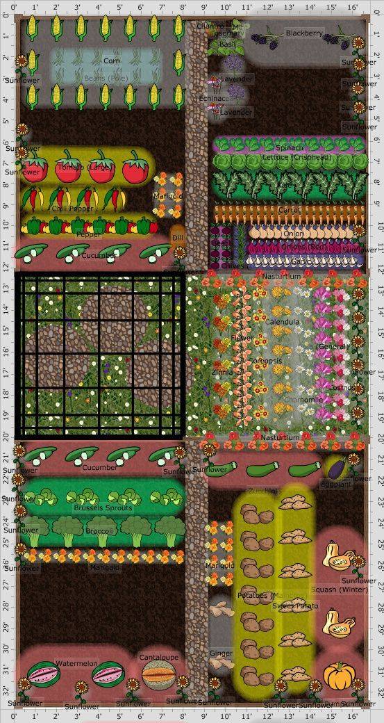 Companion Plant Layout Gardening