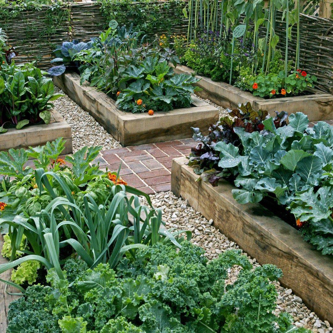 Your Home Vegetable Garden