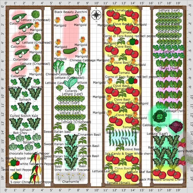 Companion Planting