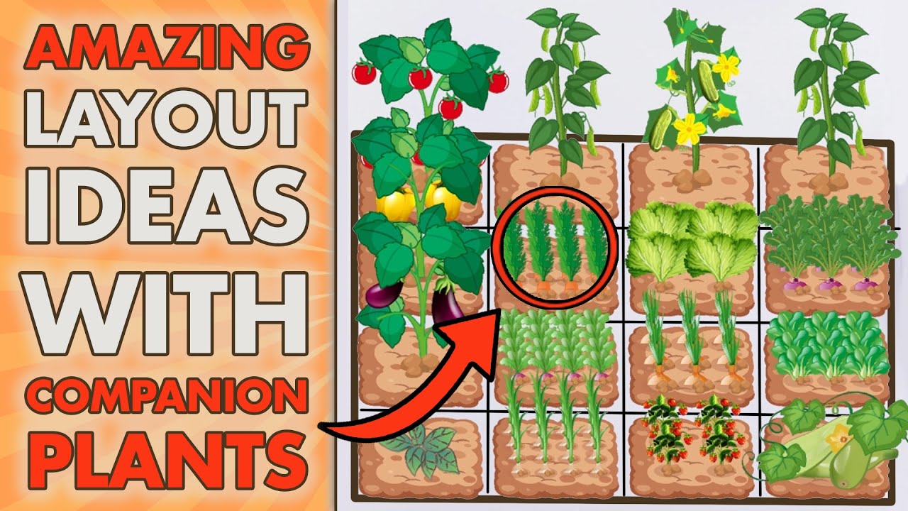 Vegetable Companion Planting Guide
