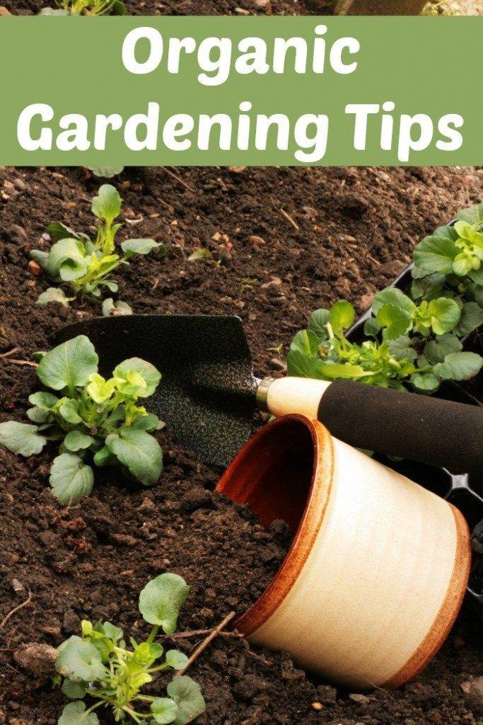 Secret Gardening Tips