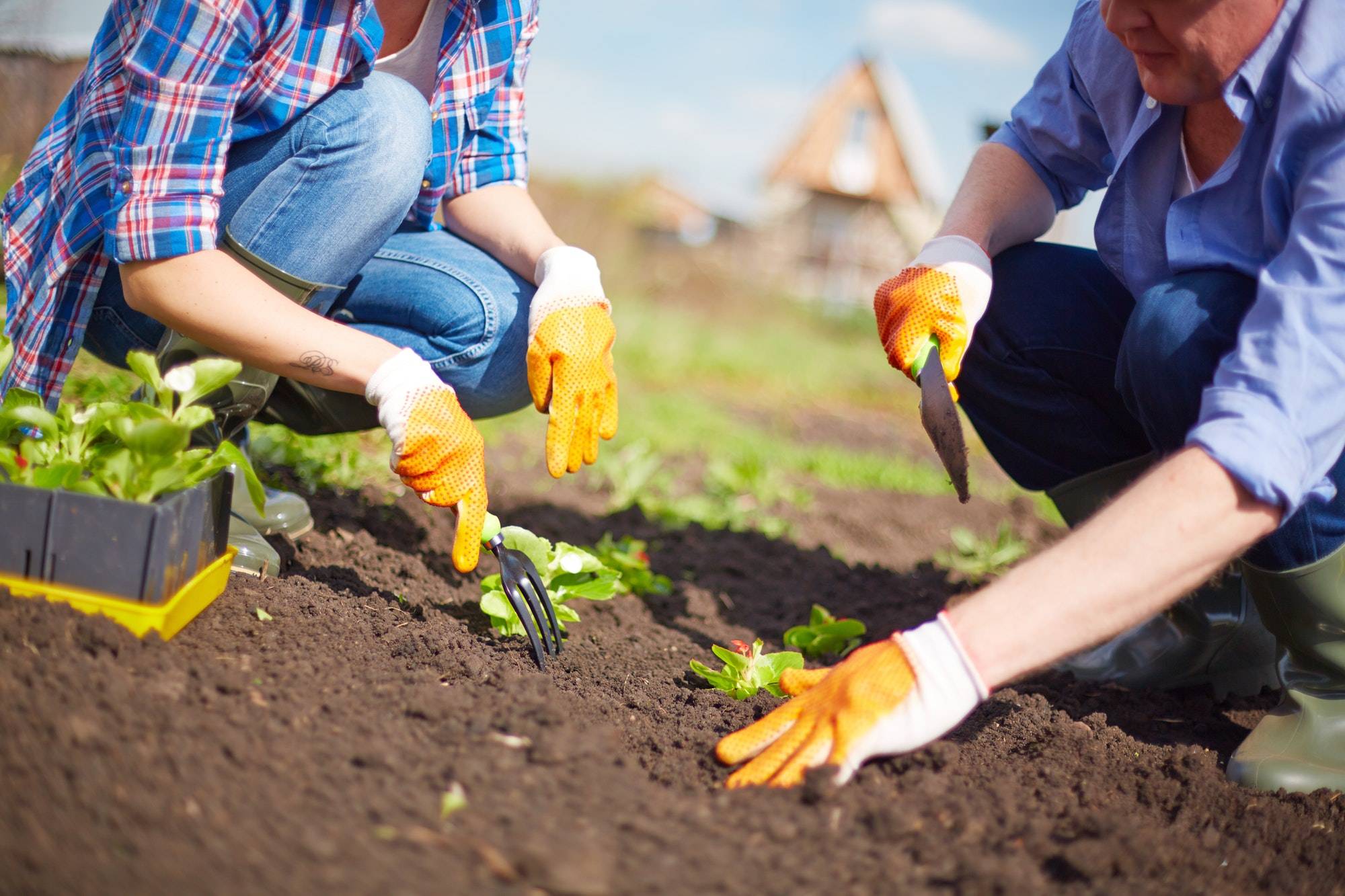 Very Smart Diy Gardening Tips