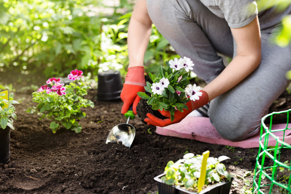 Spring Gardening Tips