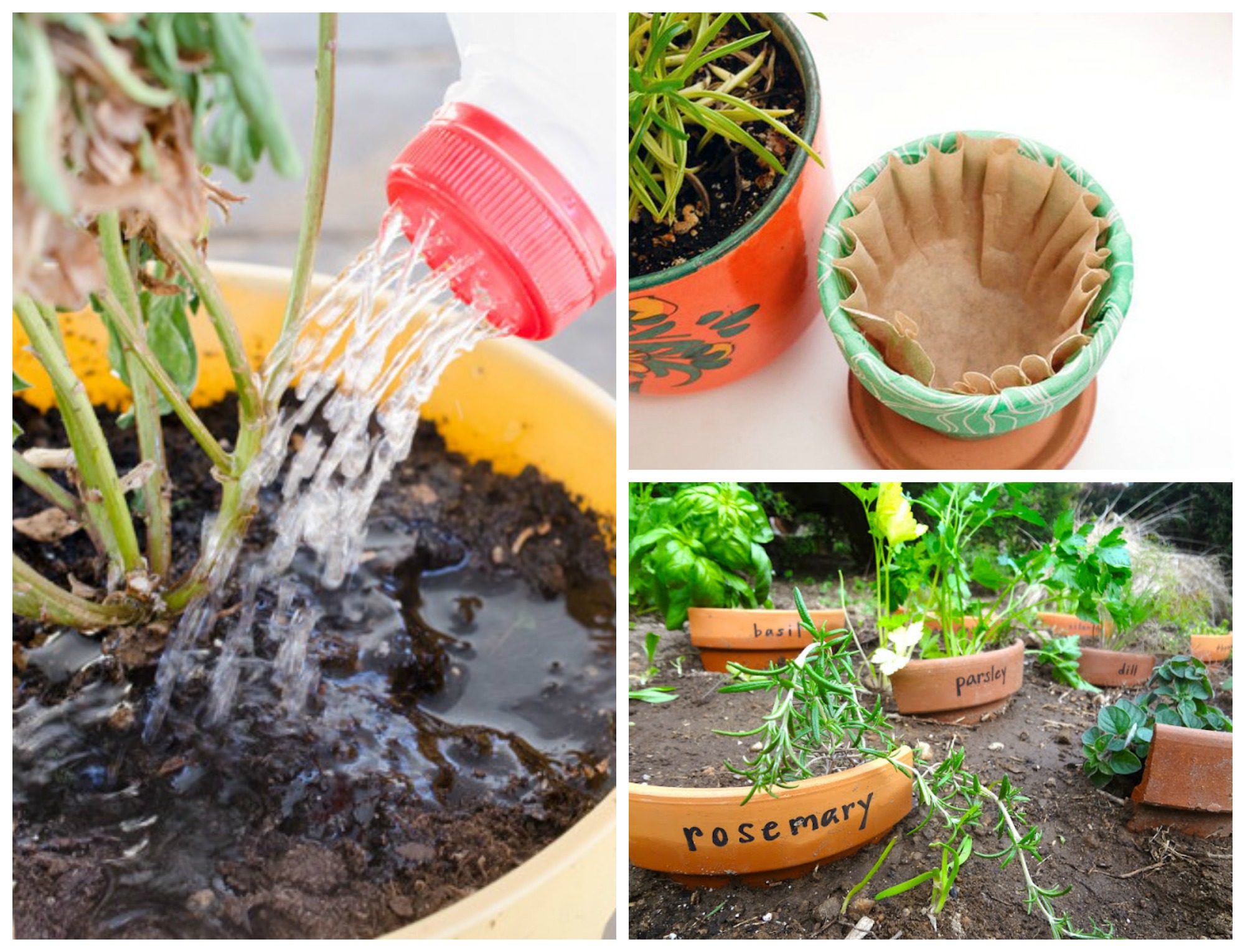 Useful Grow And Gardening Tips