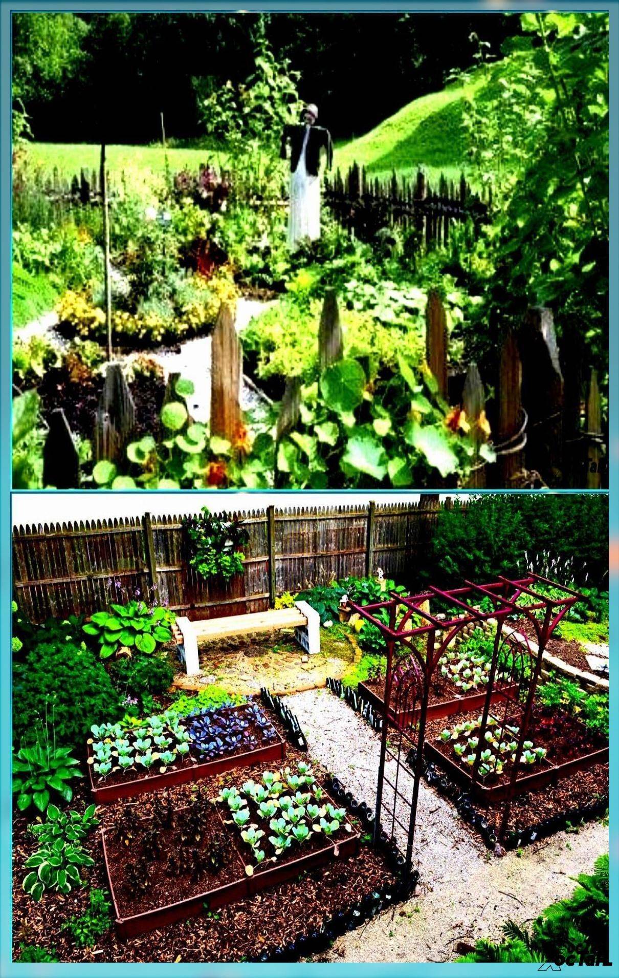 Amazing Vegetable Garden Design Ideas