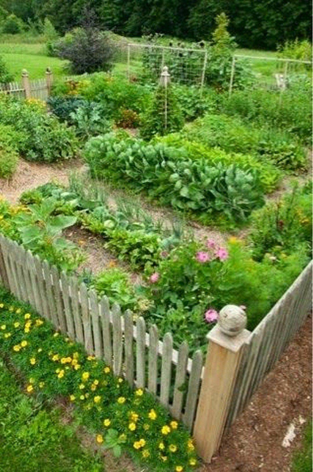 Garden Veggie Garden Layout