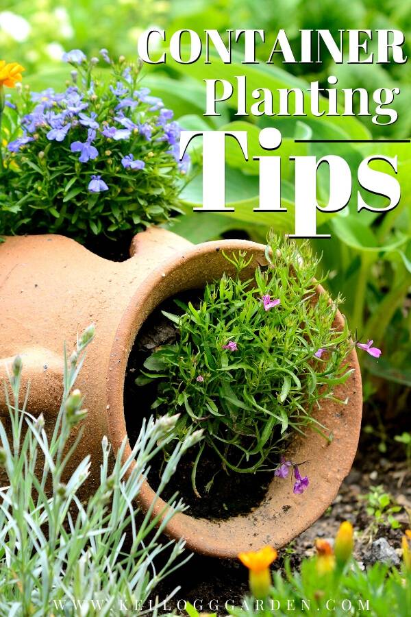 Insanely Clever Gardening Tips