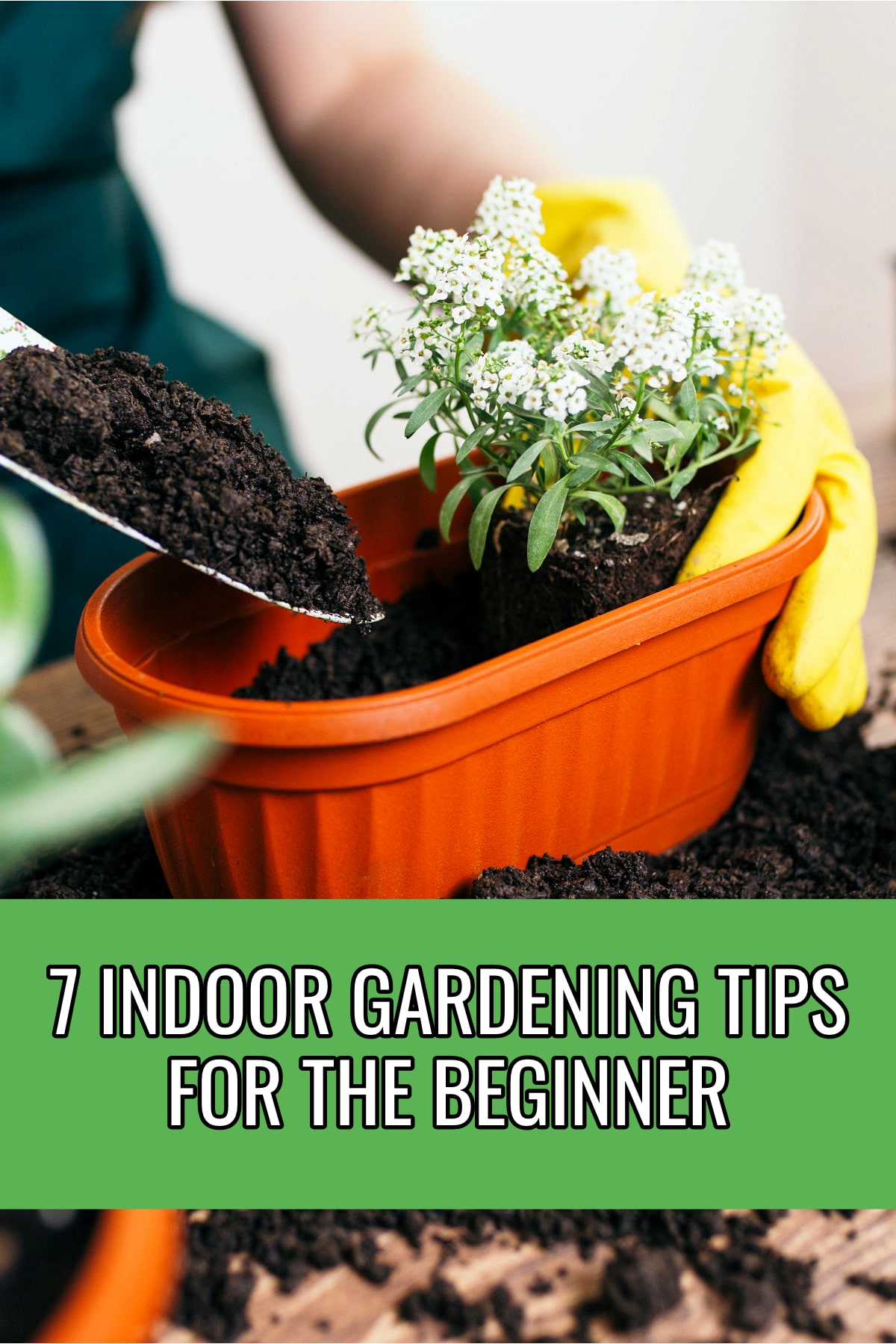 Gardening Tips