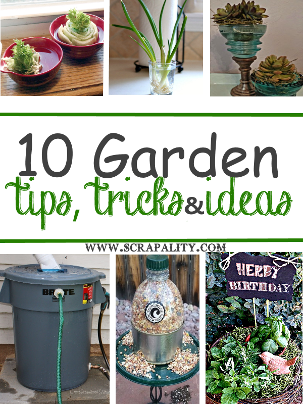 Gardening Tips