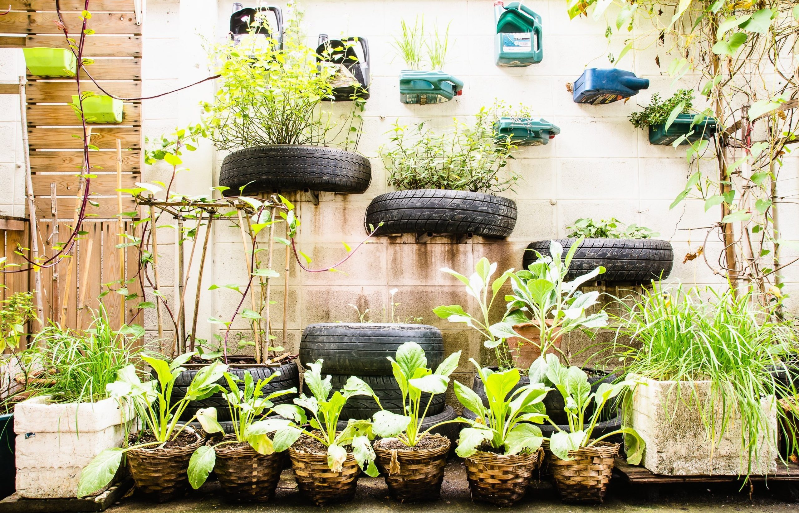 Your Life Plant Instructions