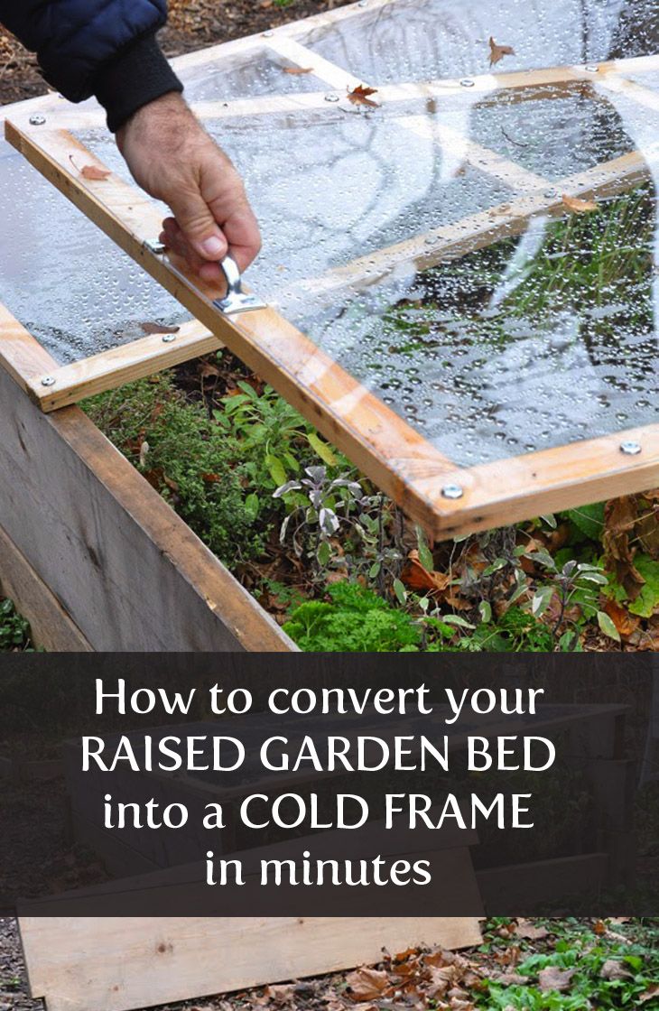Creative Garden Hacks