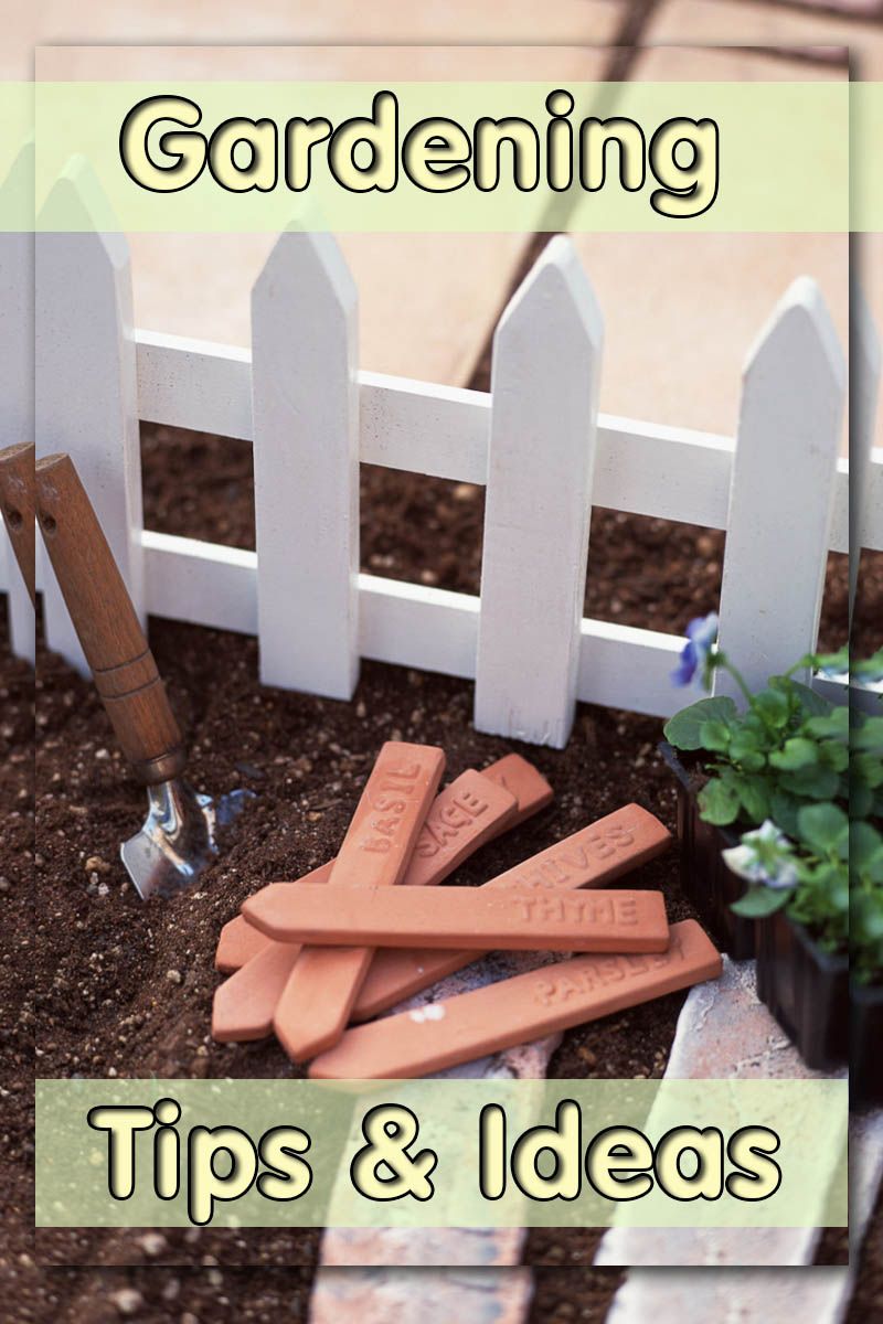 20 Garden Tricks Ideas Worth a Look SharonSable