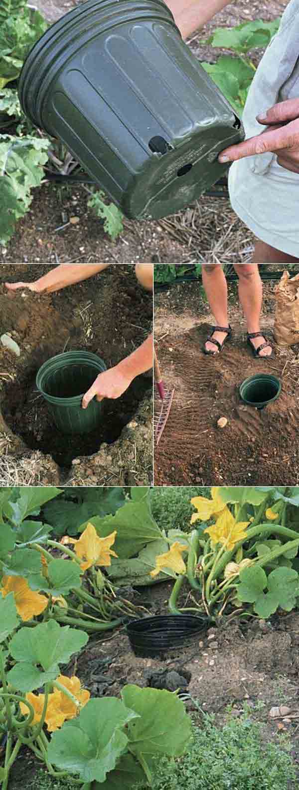Top Incredibly Clever Gardening Tricks
